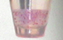 Small GTPase Assay Beads